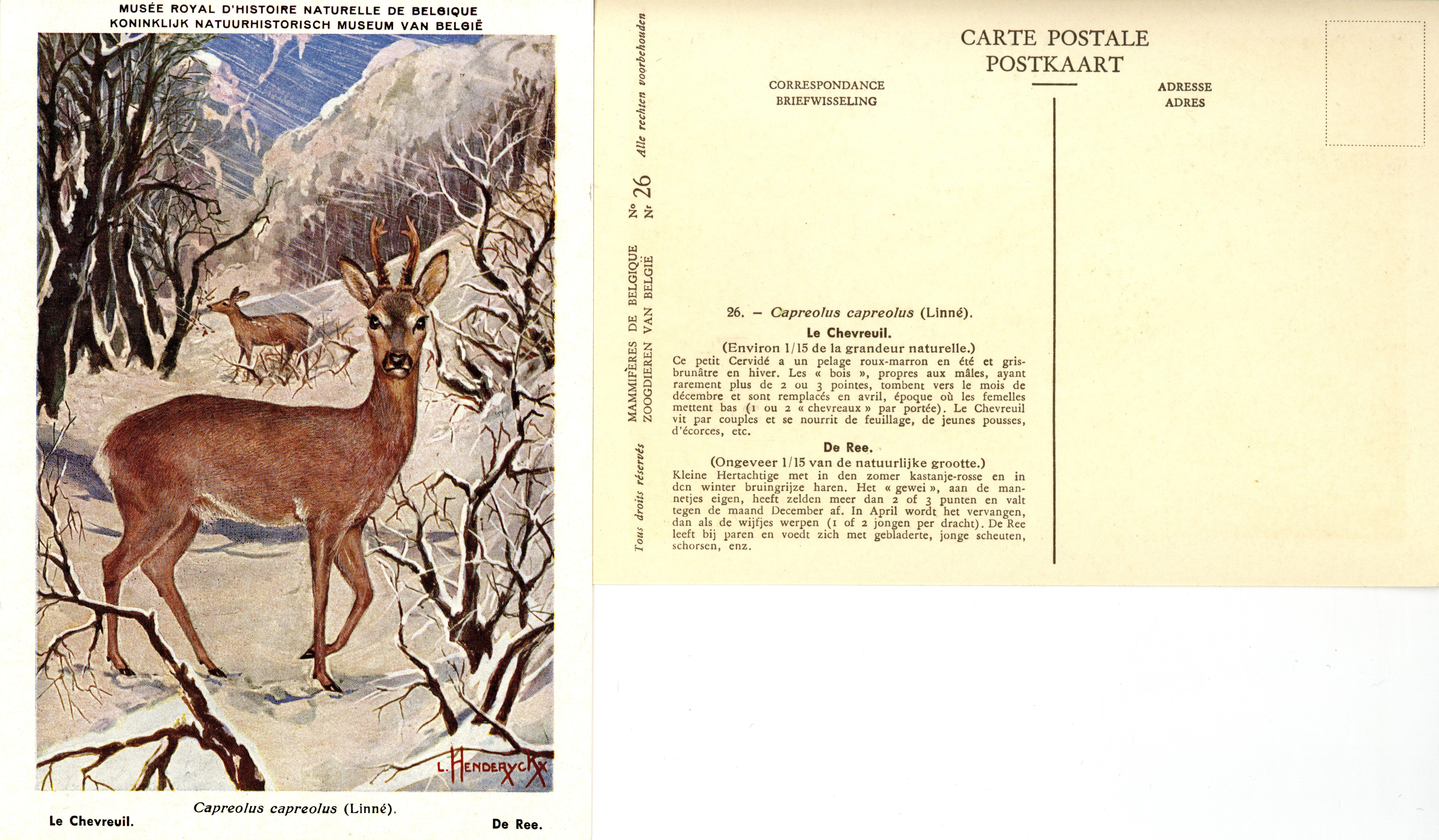 026 Le Chevreuil - De Ree.jpg