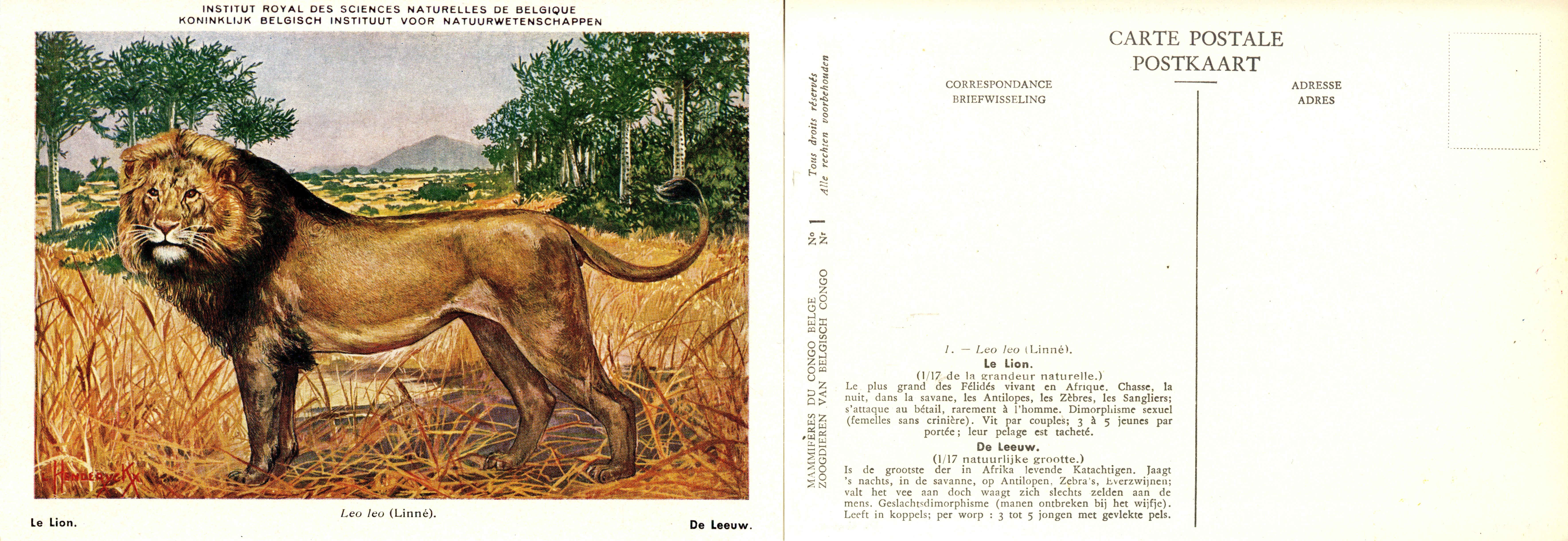 001 Le Lion - De Leeuw.jpg