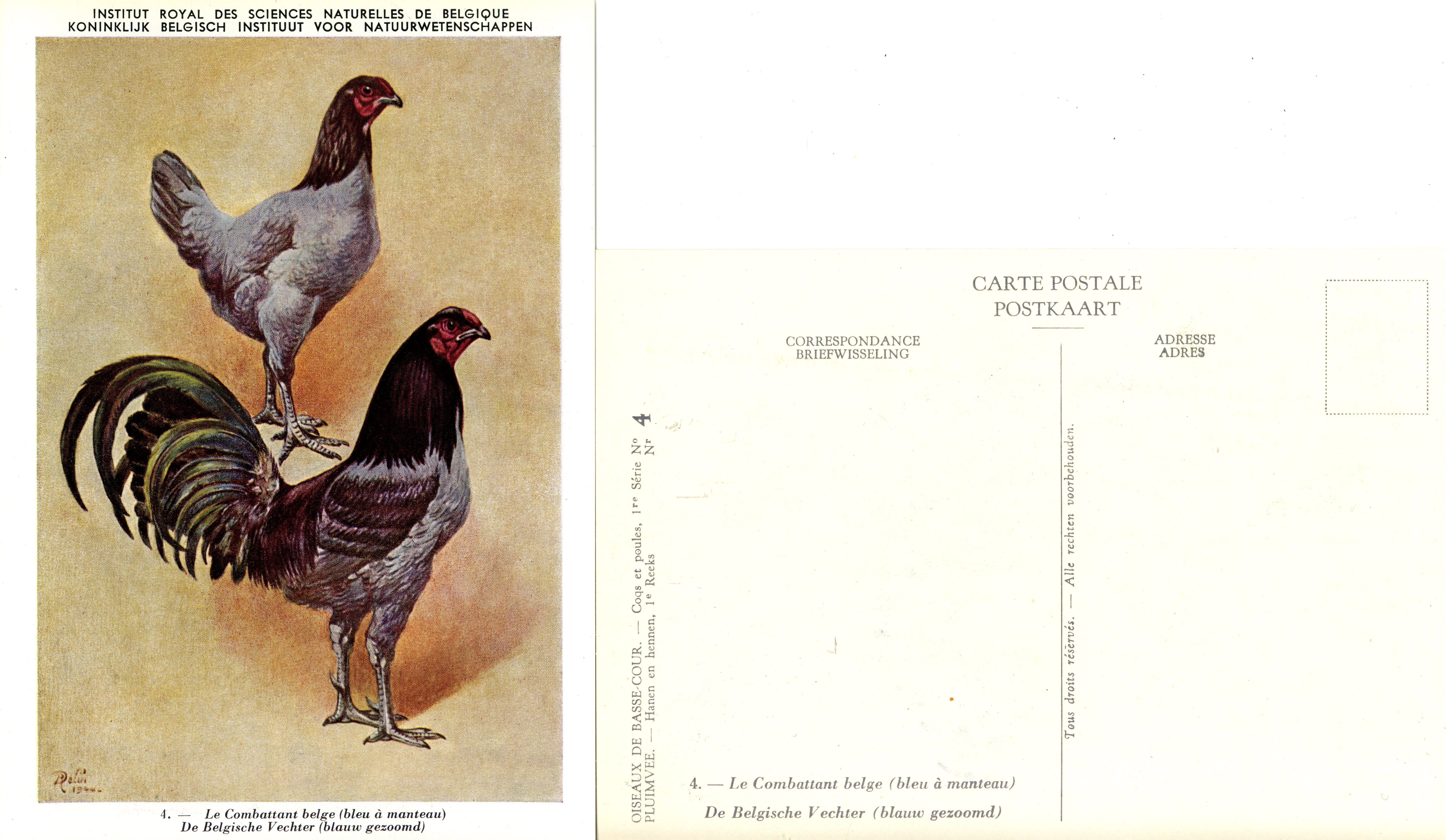 04 Le Combattant belge 1 - De Belgische Vechter 1.jpg