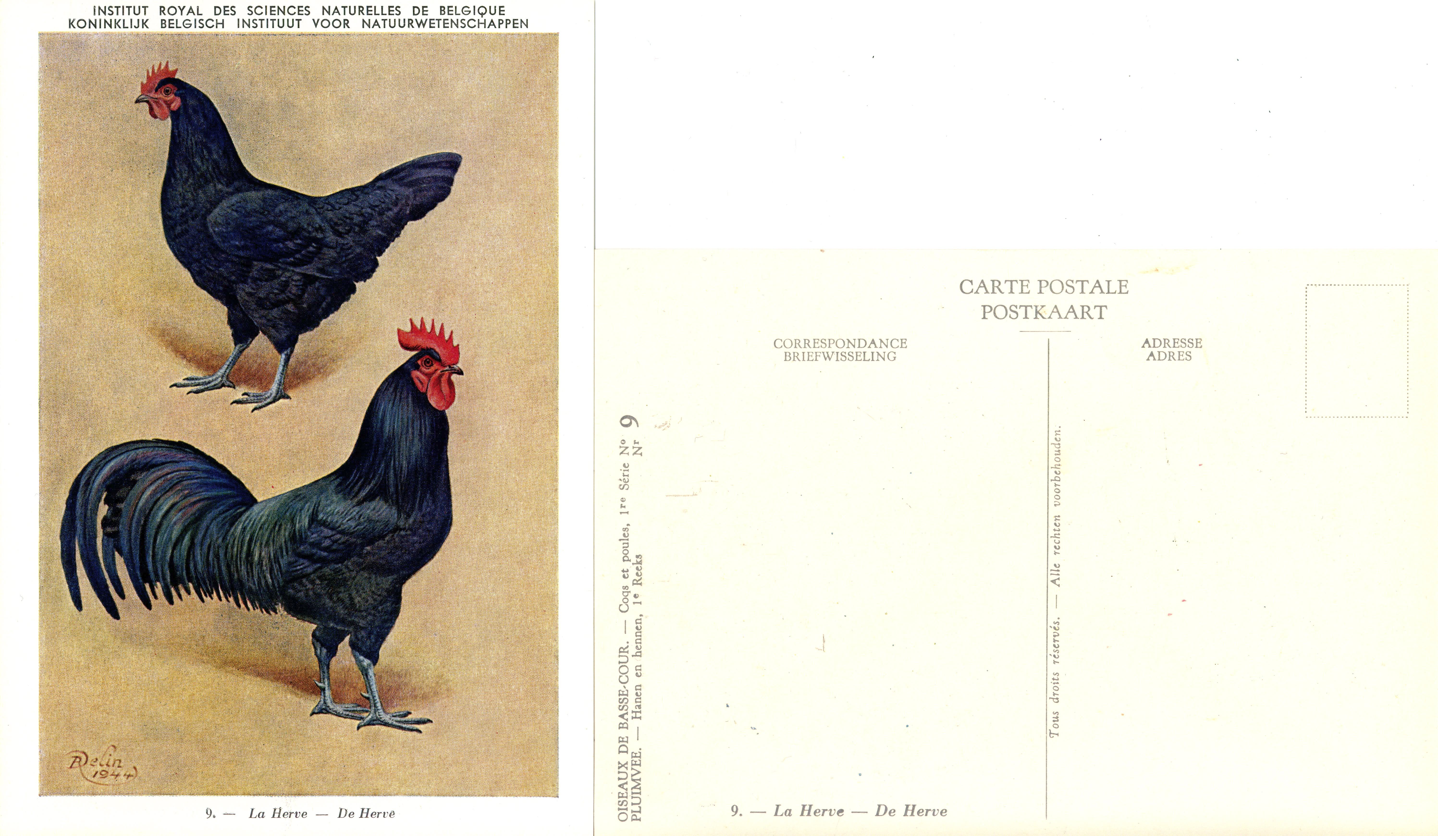 09 Le Herve - De Herve.jpg