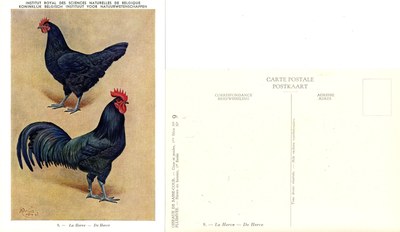 09 Le Herve - De Herve.jpg