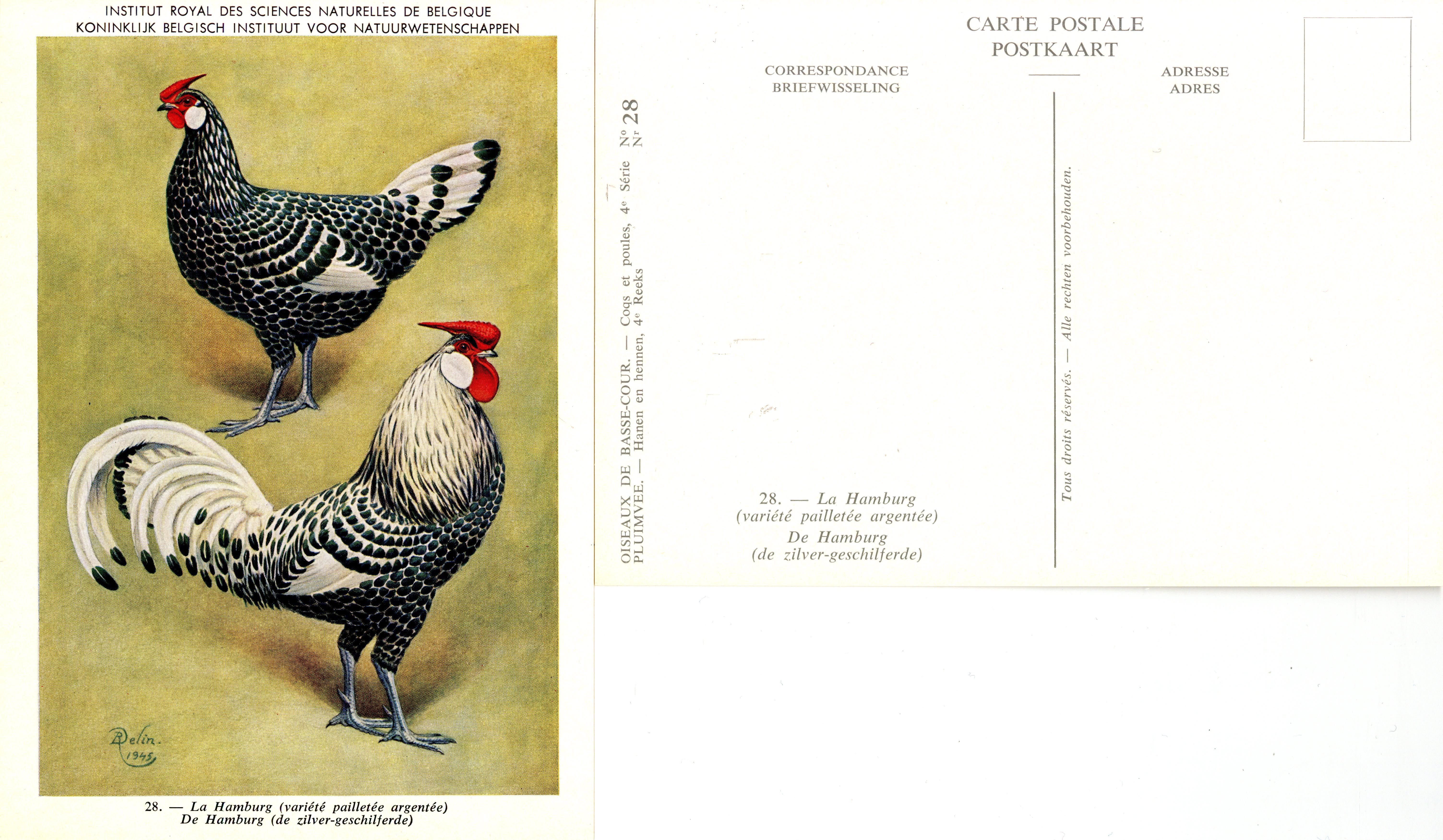 28 La Hamburg - De Hamburg.jpg