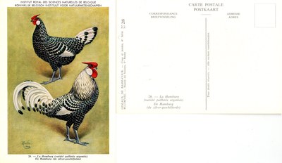 28 La Hamburg - De Hamburg.jpg