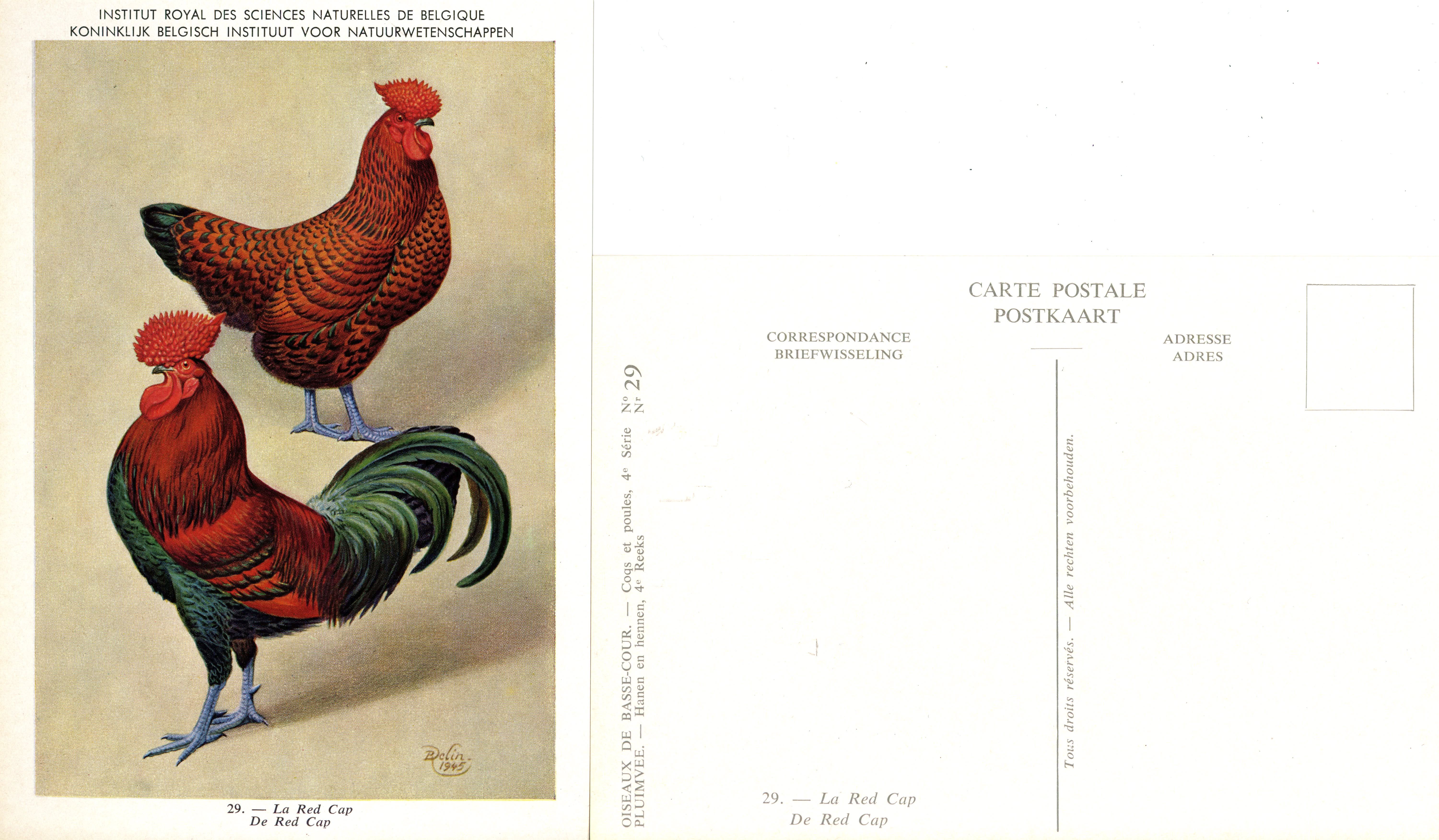 29 La Red Cap - De Red Cap.jpg