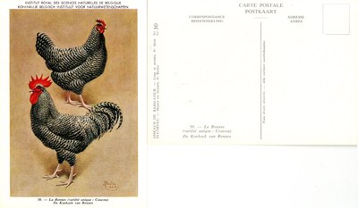 30 La Rennes - De Koekoek van Rennes.jpg