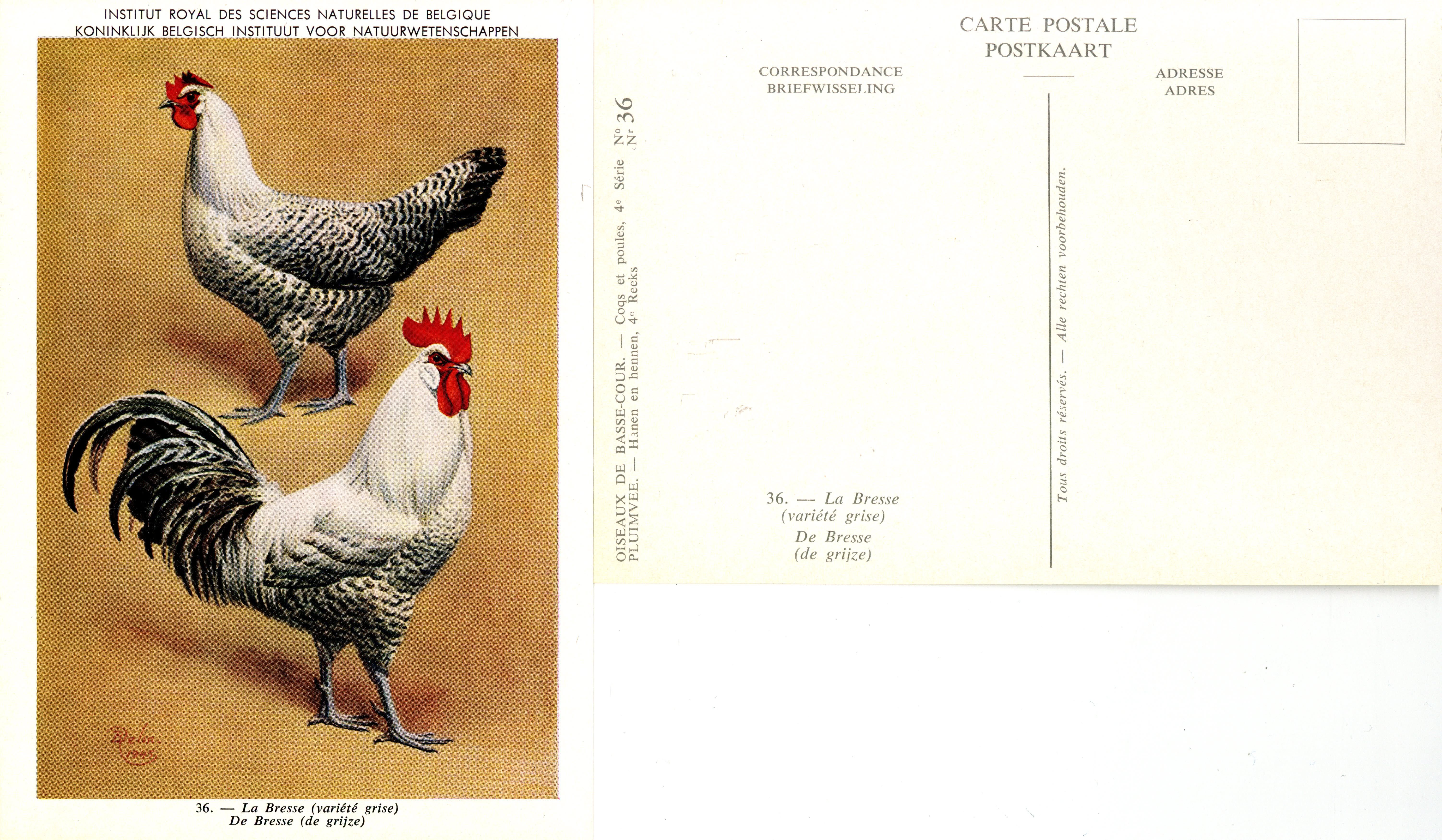 36 La Bresse - De Bresse.jpg