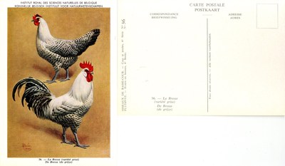 36 La Bresse - De Bresse.jpg