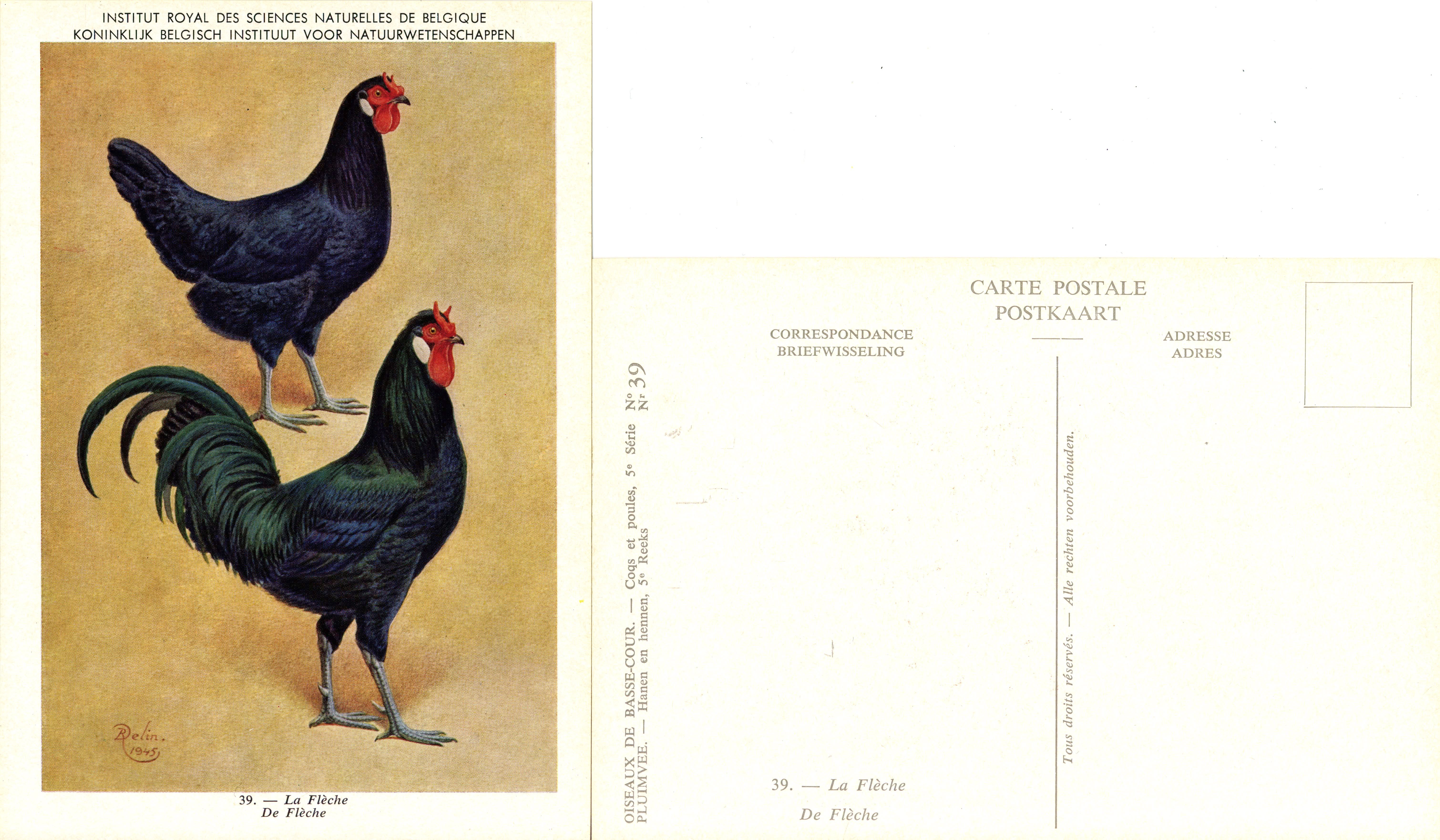 39 La Flèche - De Flèche.jpg