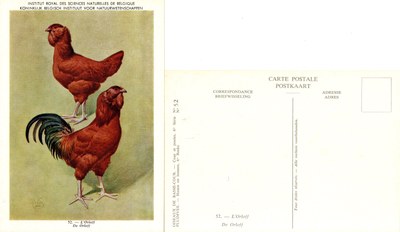 52 L’Orloff - De Orloff.jpg