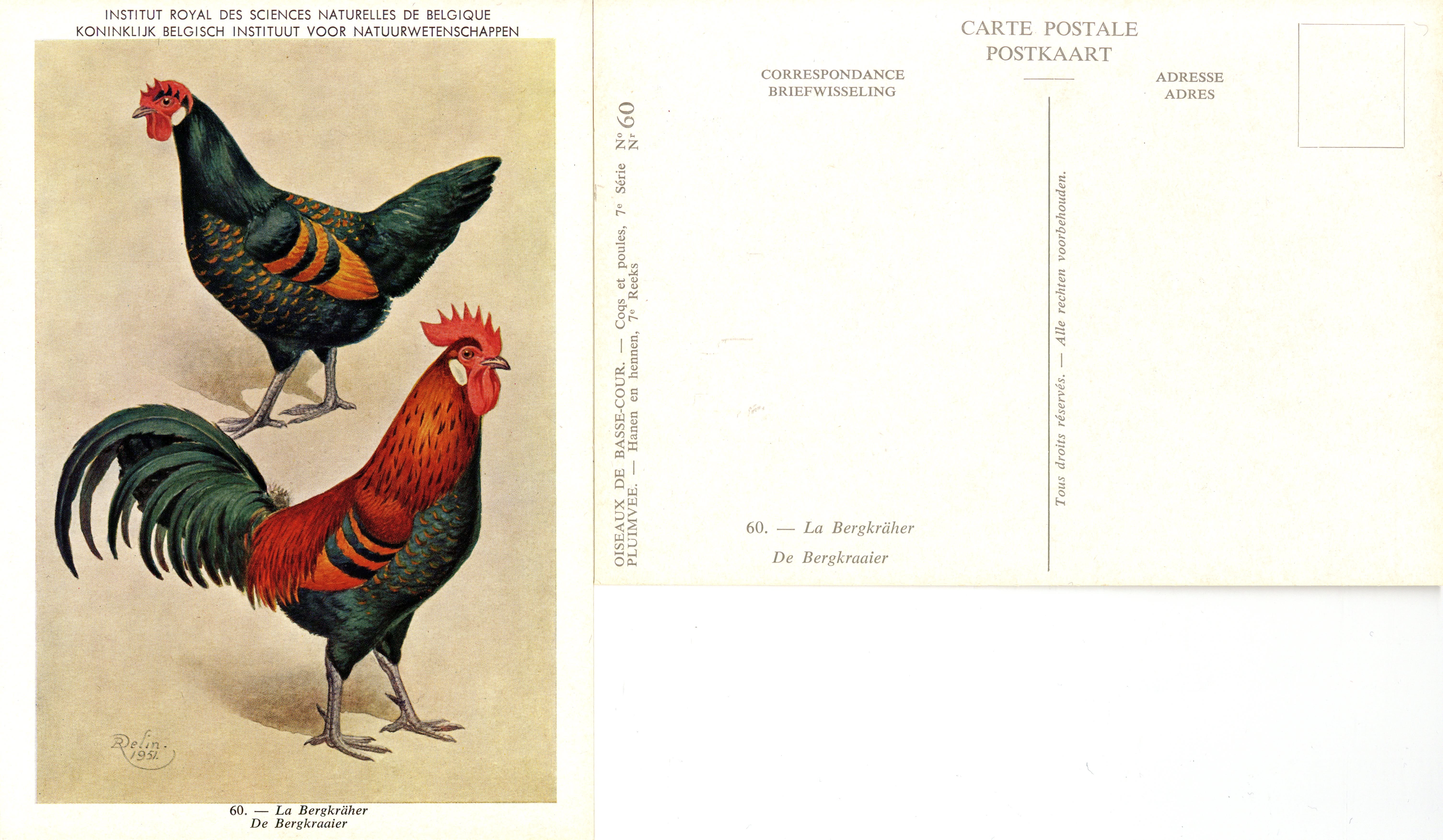 60 Le Bergkräher - De Bergkraaier.jpg