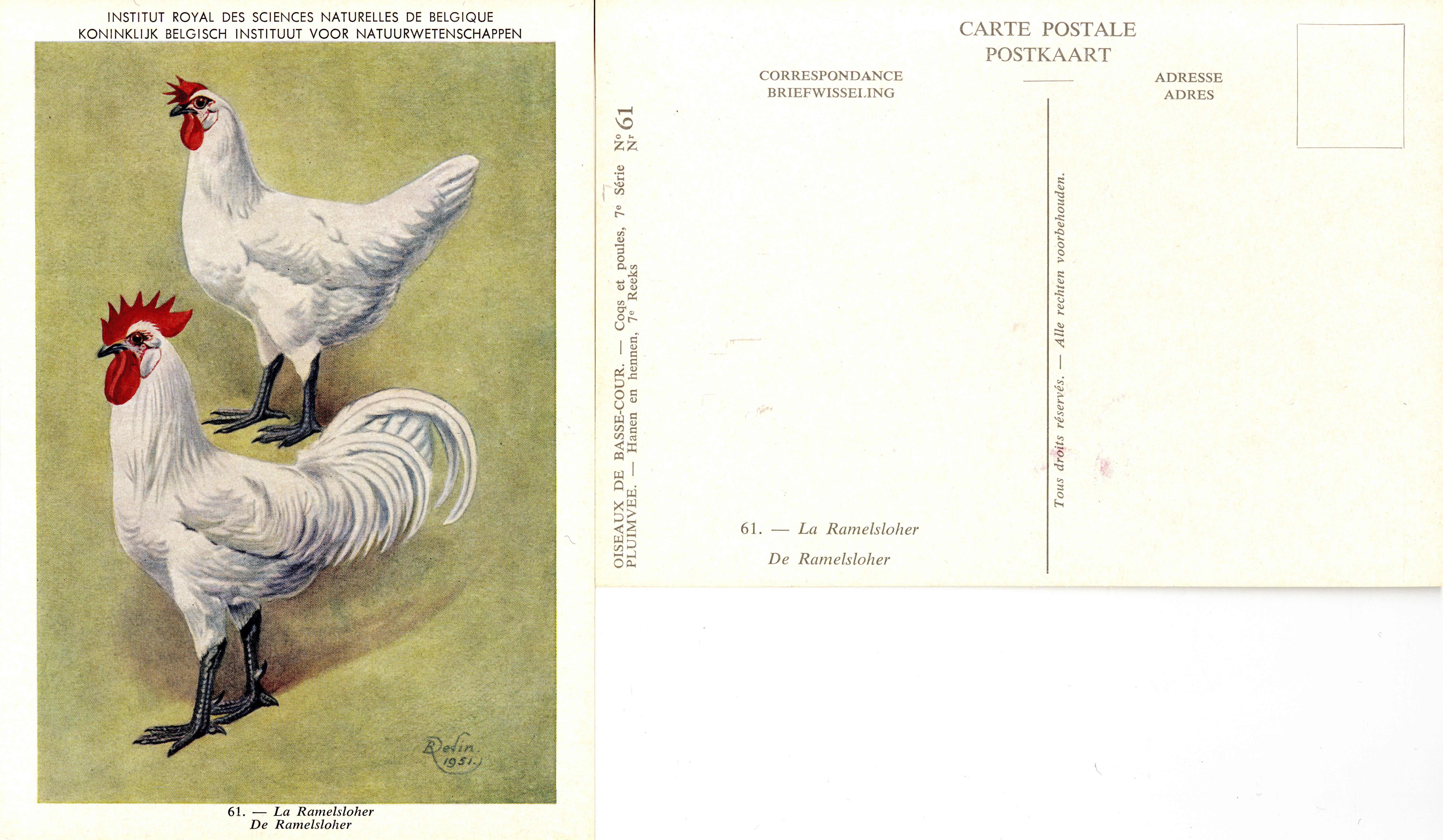 61 La Ramelsloher - De Ramelsloher.jpg