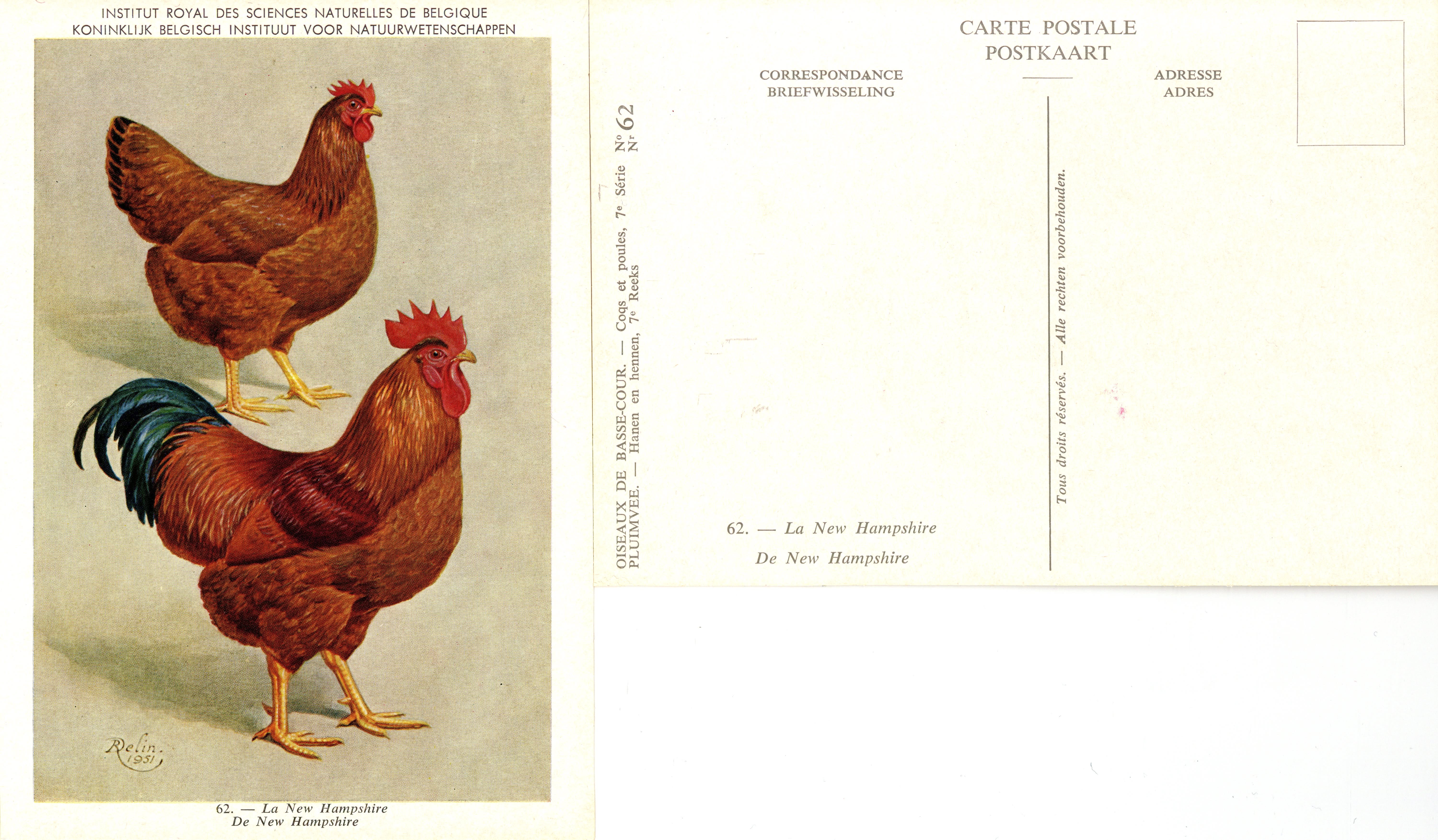 62 Le New Hampshire - De New Hampshire.jpg