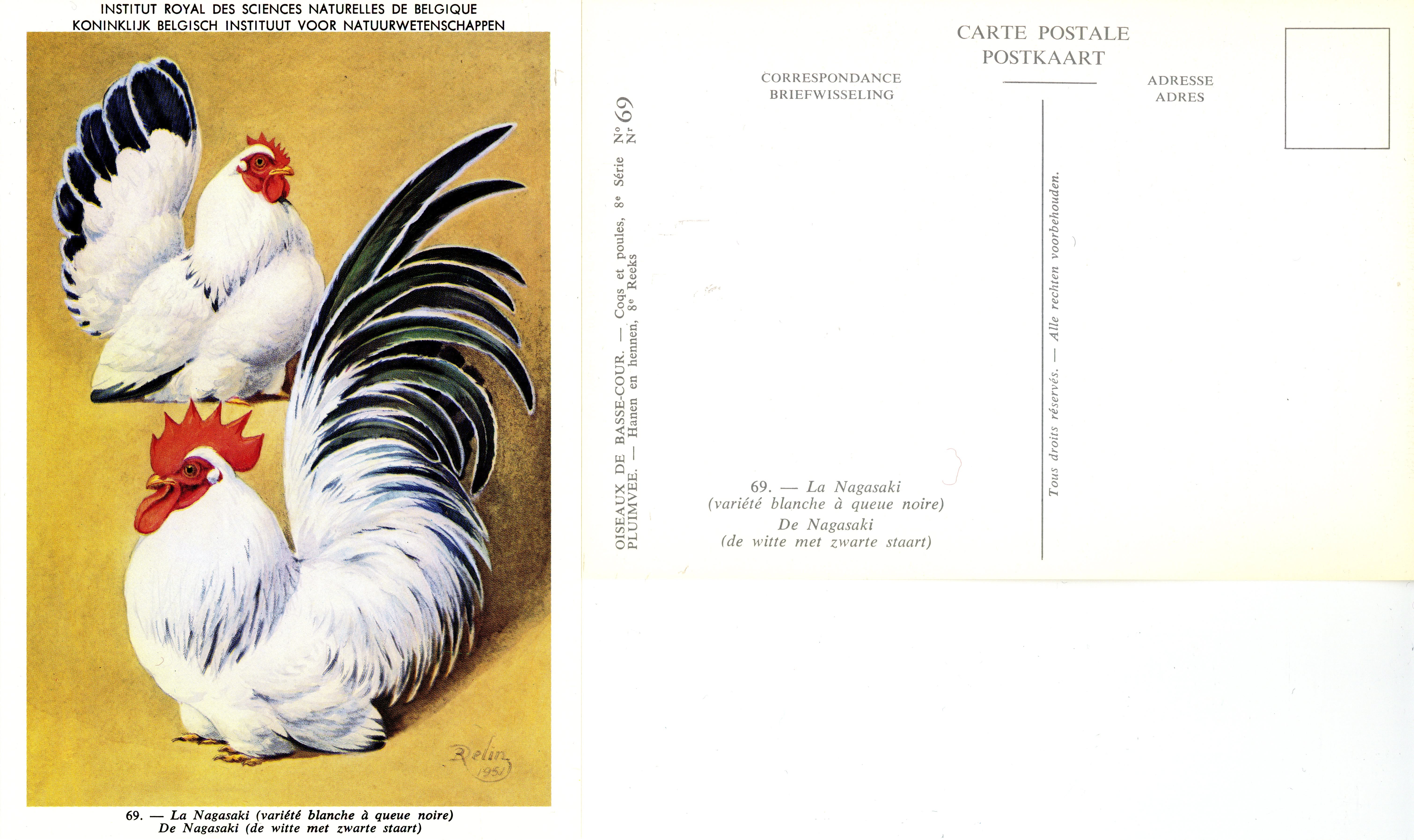 69 Le Nagasaki - De Nagasaki.jpg