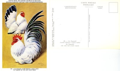 69 Le Nagasaki - De Nagasaki.jpg