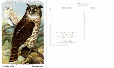 026 Le Grand-Duc tacheté - De Gevlekte Oehoe.jpg