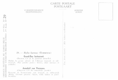 029 Grand-Duc lactescent - Arenduil van Verreaux b.jpg