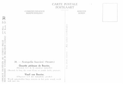 030 Chouette pêcheuse de Bouvier - Visuil van Bouvier b.jpg
