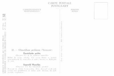 032 Chevêchette perlée - Gepereld Musuiltje b.jpg