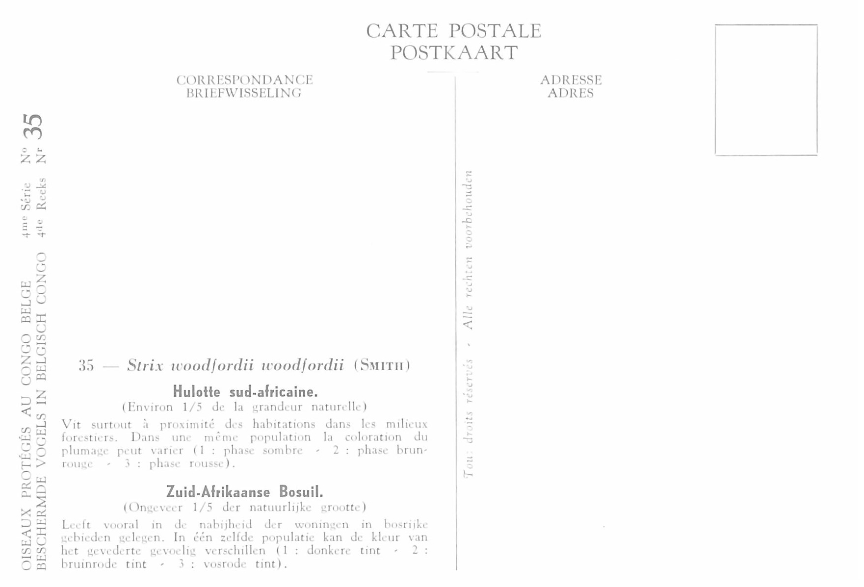 035 Hulotte sud-africaine - Zuid-Afrikaanse Bosuil b.jpg