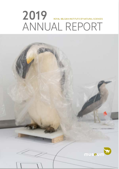 annualreport-2019.png