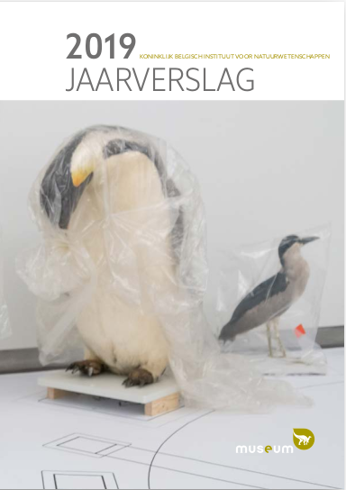 jaarverslag-2019.png