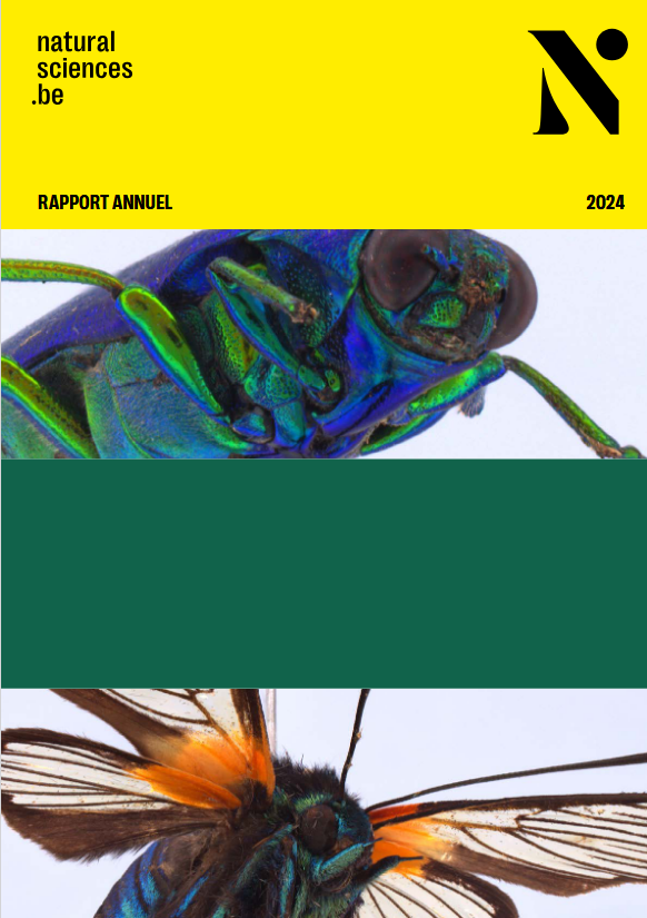 rbins fr 2024.png