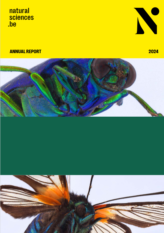 rbins uk 2024.png